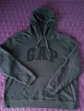 *3/$10* GAP Men's Pullover Hoodie